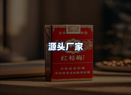 专业团队办公环境